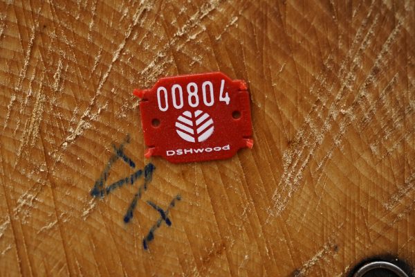 Holzeinschlag setzt CO2 aus dem Boden frei