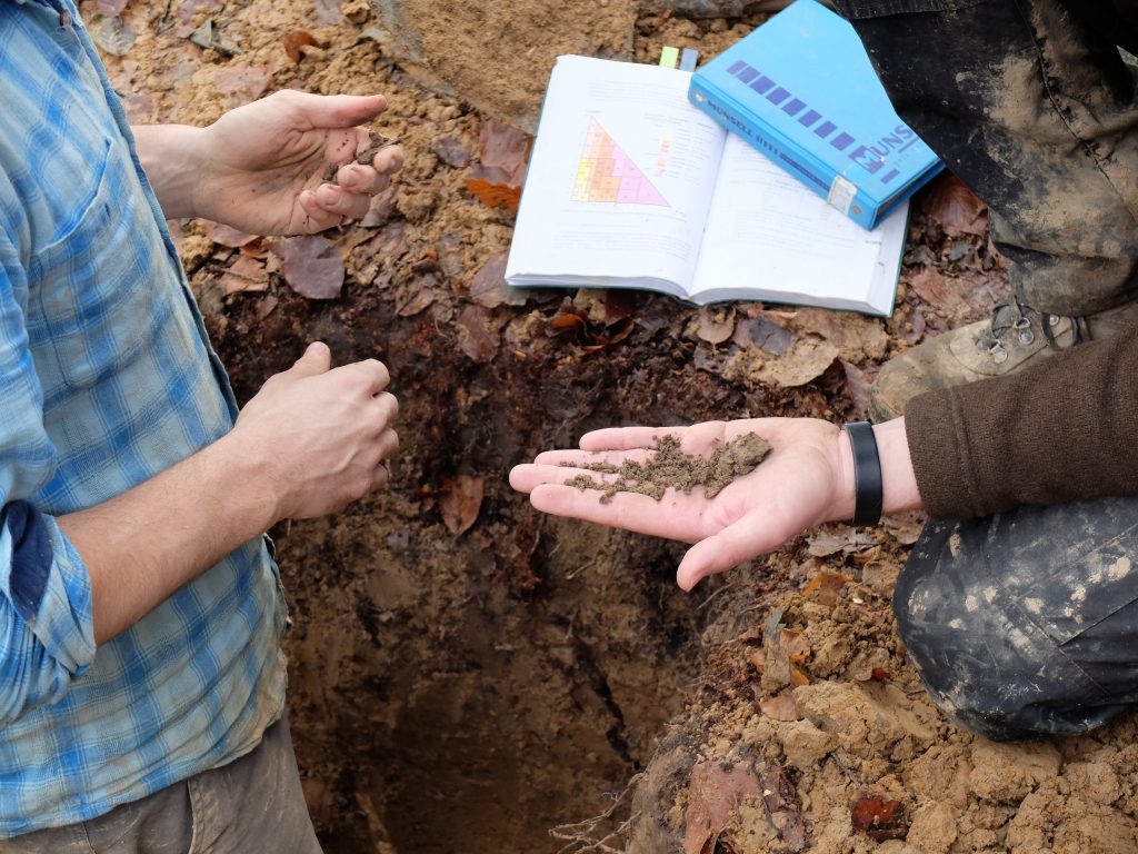 Bodenproben in Hand, Waldboden