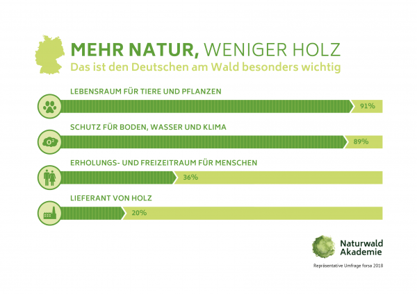 Natur ist wichtiger als Holz – Deutsche wollen mehr staatlichen Schutz für den Wald