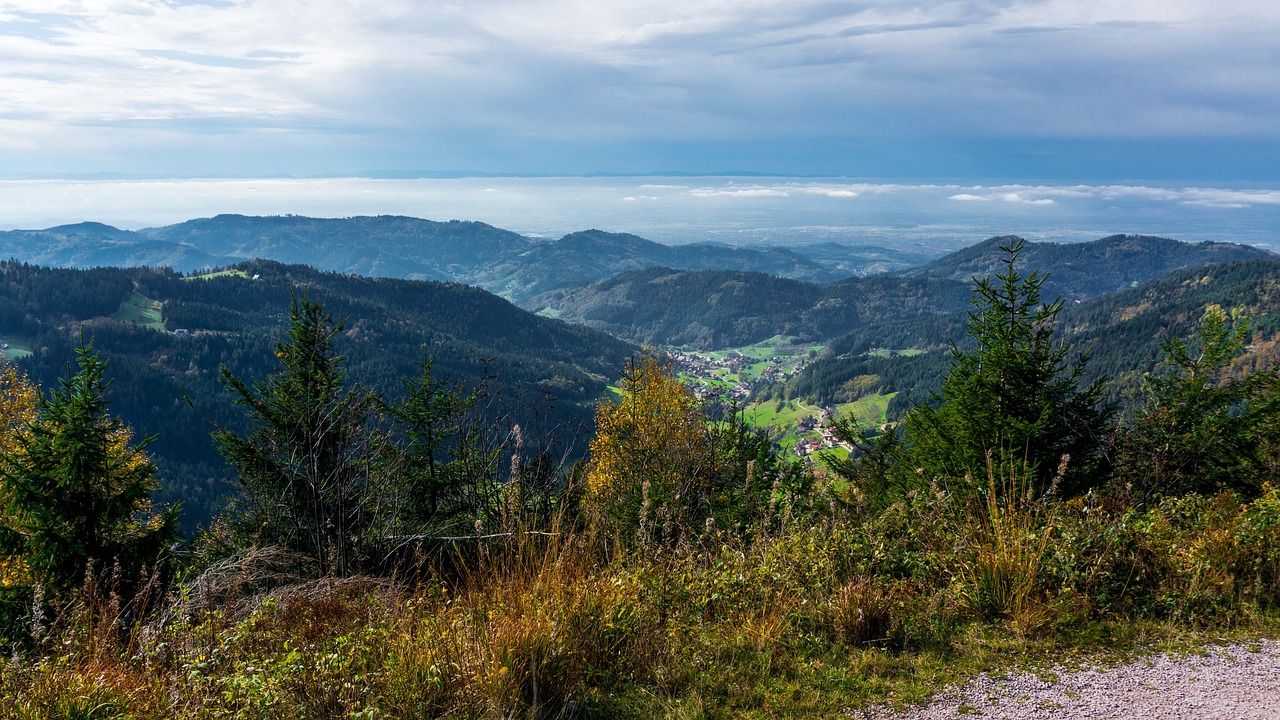 Bedeutung von Schutzwäldern in Mittelgebirgen
