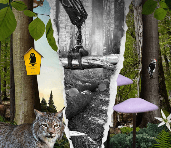 Schutzgebiete schützen nicht