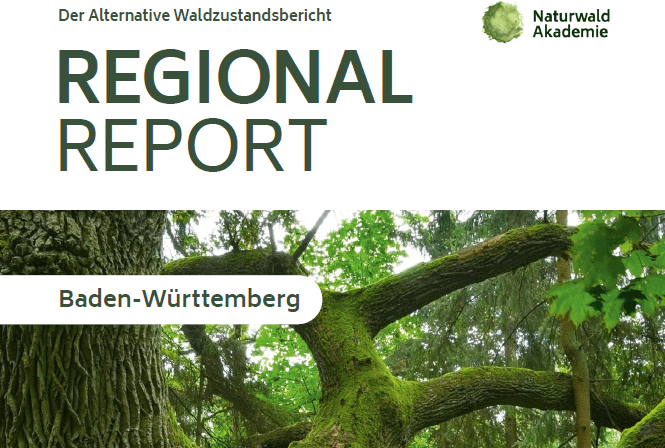 Den Wald in Mecklenburg-Vorpommern und Baden-Württemberg stärken