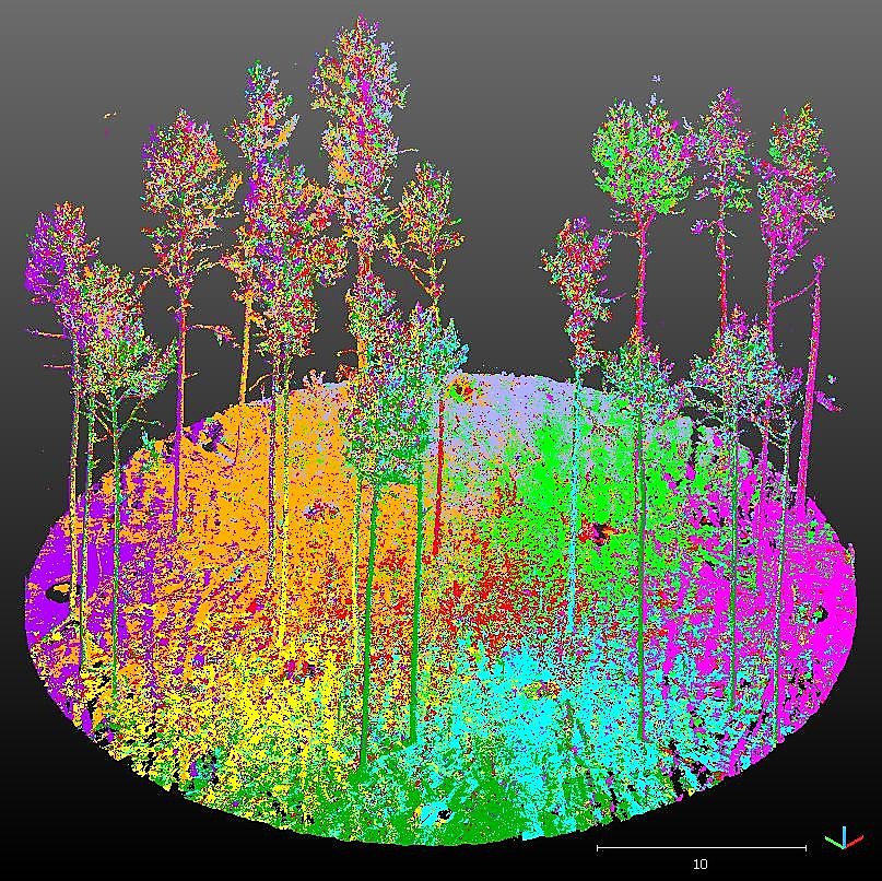 ProÖkoForst – neue Wege zur Waldbewirtschaftung