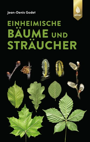 Baumbestimmung mit Leidenschaft