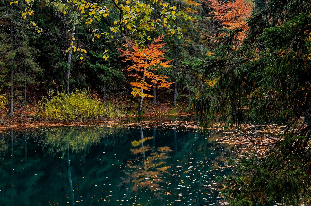 Sozialökologisches Waldmanagement an der Hochschule Eberswalde