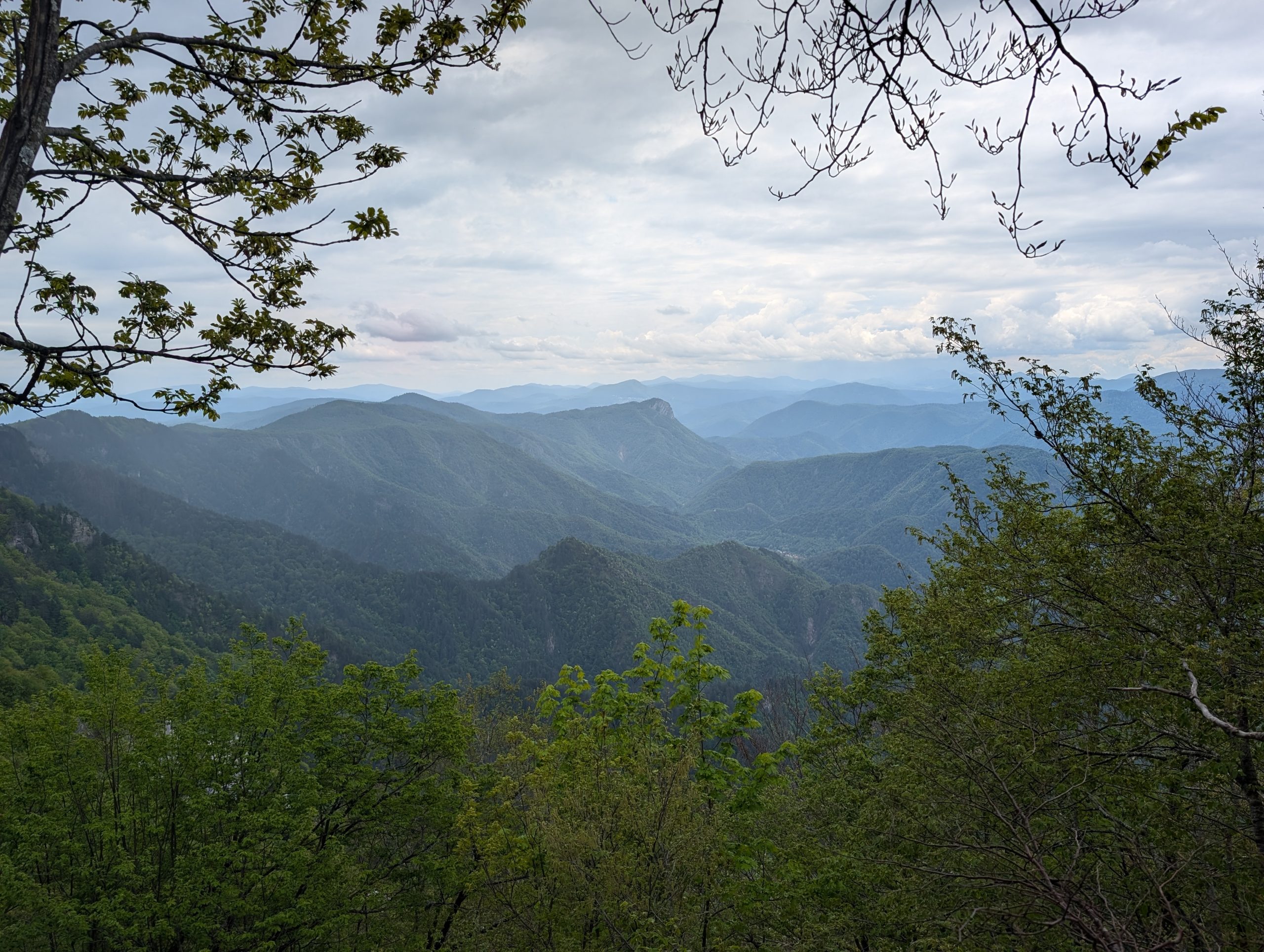 Alte Wälder sind für den Klimaschutz unverzichtbar