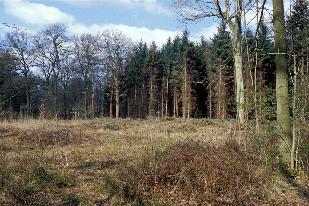 Viel Tradition und festgewachsene Sichtweisen im Forststudium: Studierende vermissen kritische Diskussionen