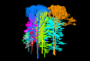 Laserscan von Bäumen
