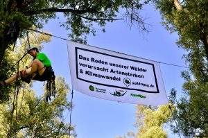 Banner zwischen zwei Weiden-Bäumen im bedrohten Auwald in Hamburg-Altenwerder