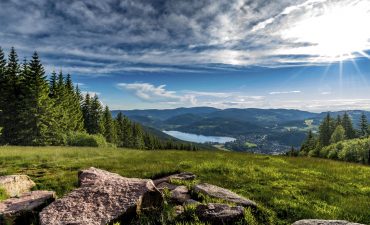 Wer Forstwege langweilig findet und Lust auf eine abenteuerliche Wanderung hat, für den ist der Wildnispfad im Nationalpark Schwarzwald genau das richtige Walderlebnis.