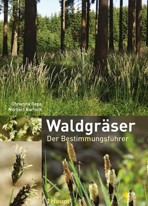 Buchcover Waldgras