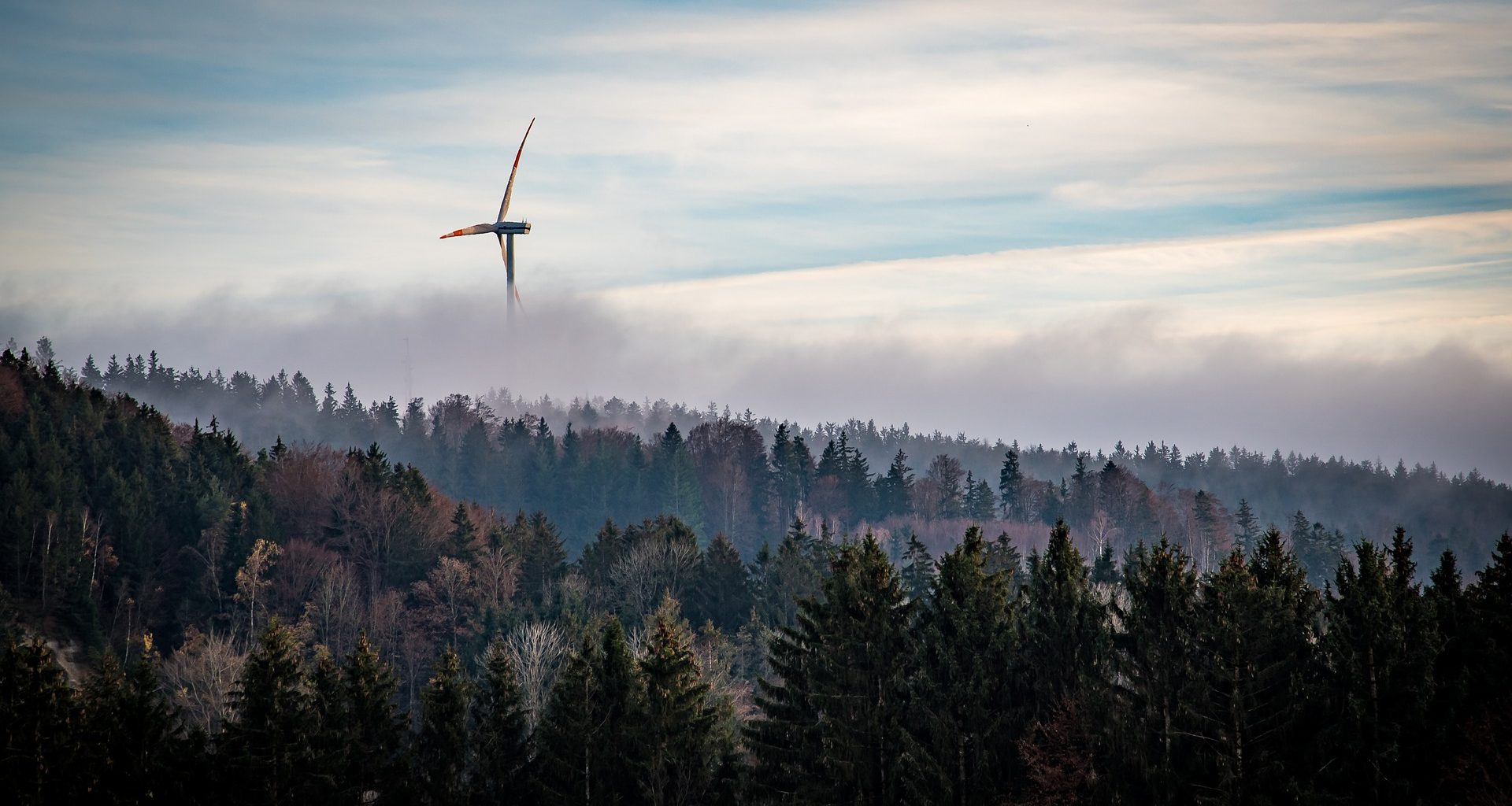 Windkraft über Wald